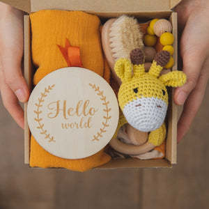 Baby Teething Toys Gift Set – Silicone Teether Collection